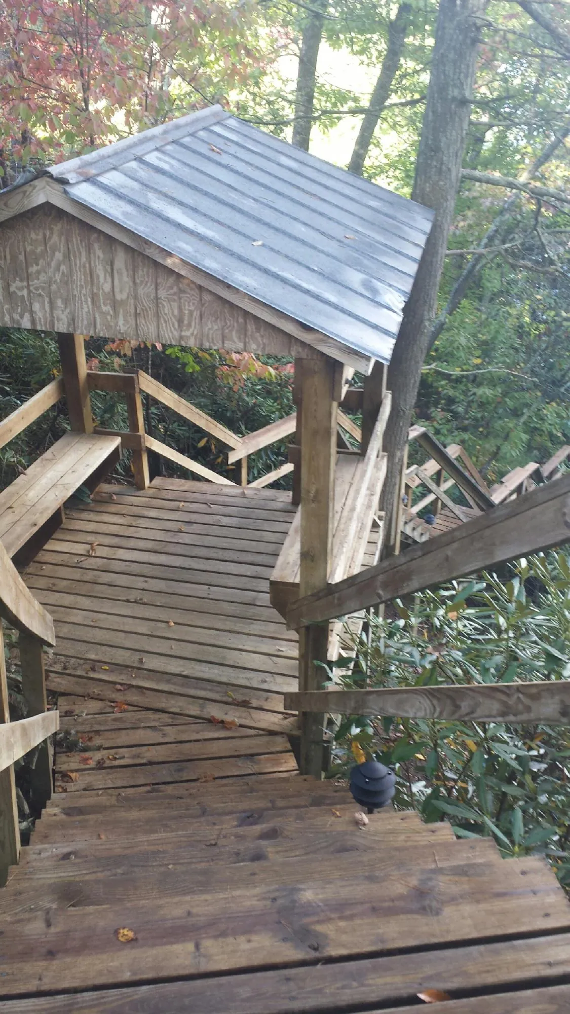 Metal roofed shelter over wooden steps on a wooded walkway — Skylight Repair & Installation work by our crew in Hedrick