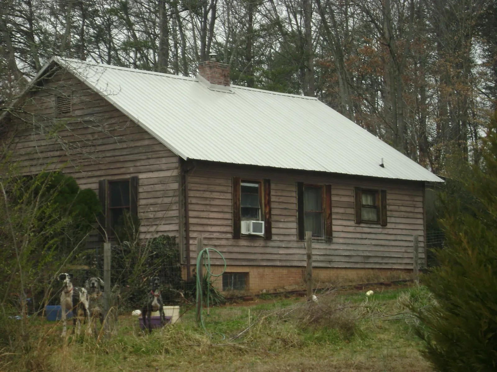 White metal roof on an old wood sided farmhouse, from a Asphalt Shingle Roof Repair job in Hedrick